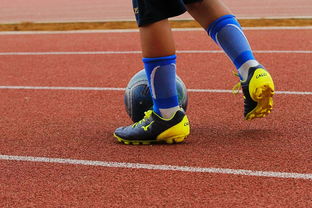 九游-明星球员带动体育产业发展，打造体育明星的弊端