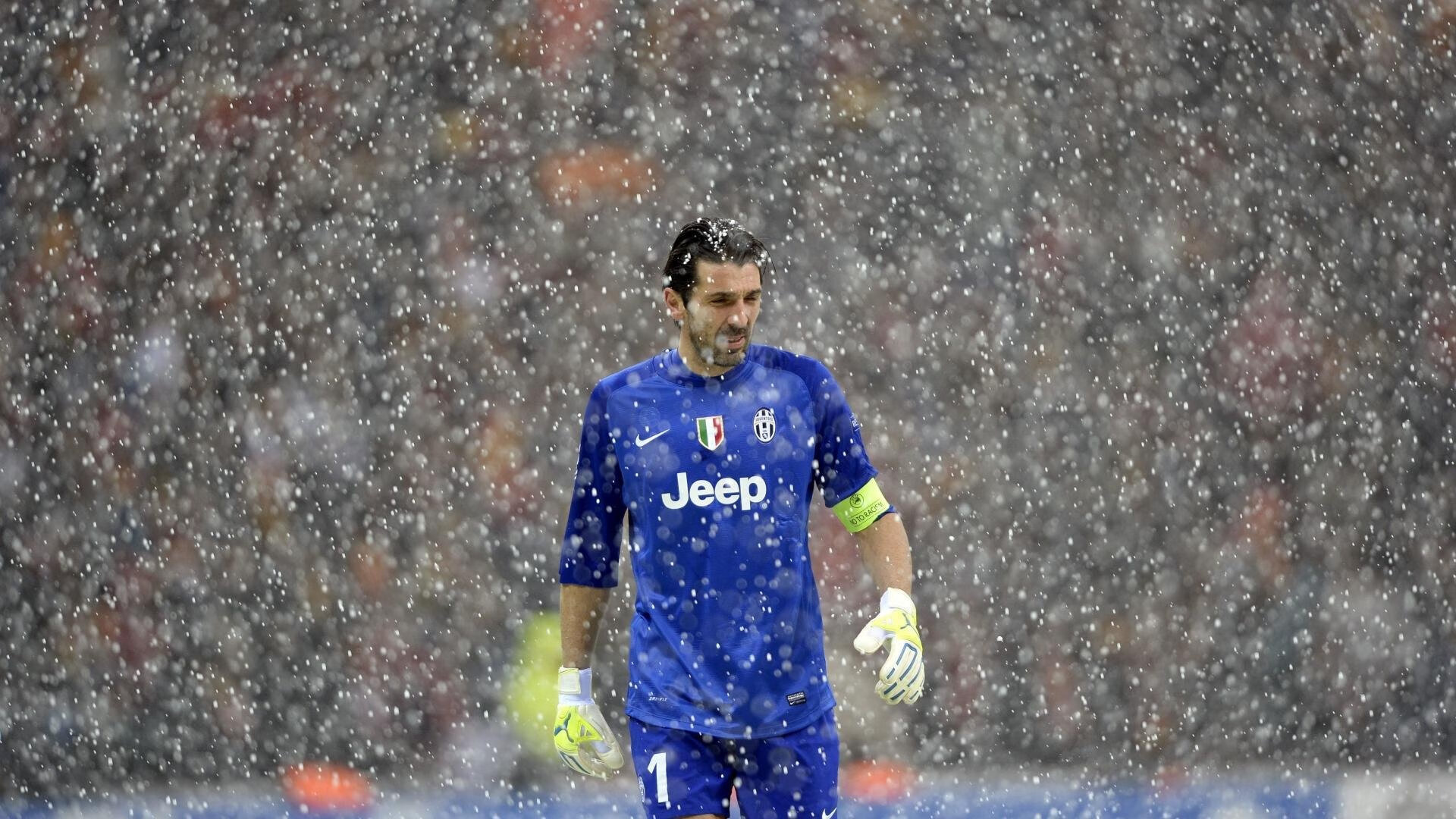 戴维·帕特森的战略眼光，为袋鼠队攻守提供全方位保障，美国戴维森