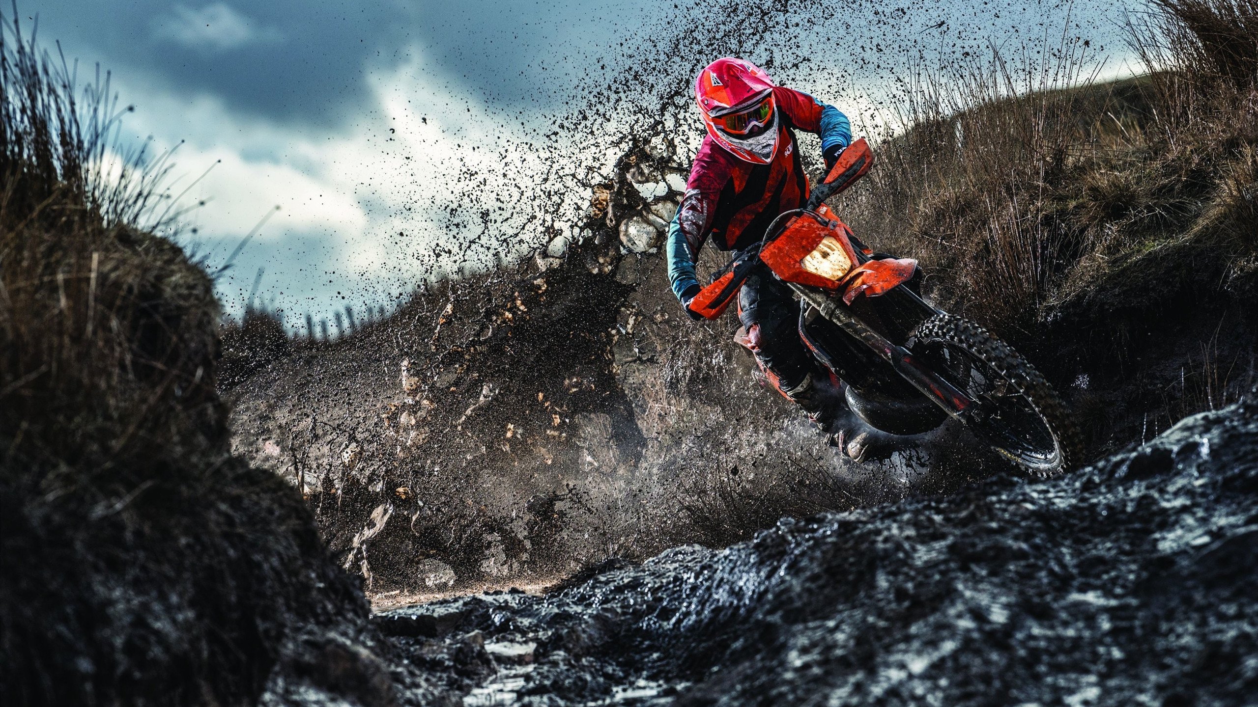 中国九游体育-科贝特泳池内外坚持不懈终见成效，科特贝尔衣柜怎么样